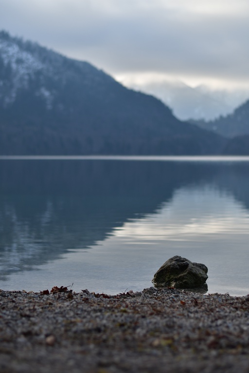 2018-12-29 Hohenschwangau/DSC_8727.JPG